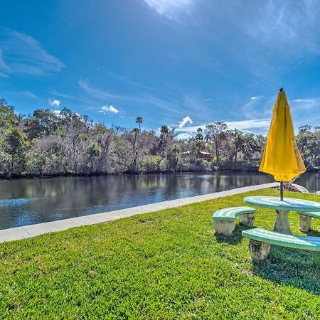 Withlacoochee River House With Dock And Kayaks! Yankeetown Extérieur photo