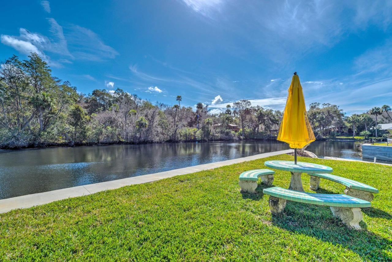 Withlacoochee River House With Dock And Kayaks! Yankeetown Extérieur photo